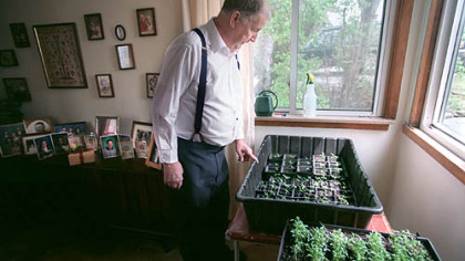 The late Fred Limbaugh looks over some of his 'Potato Top' tomatoes.