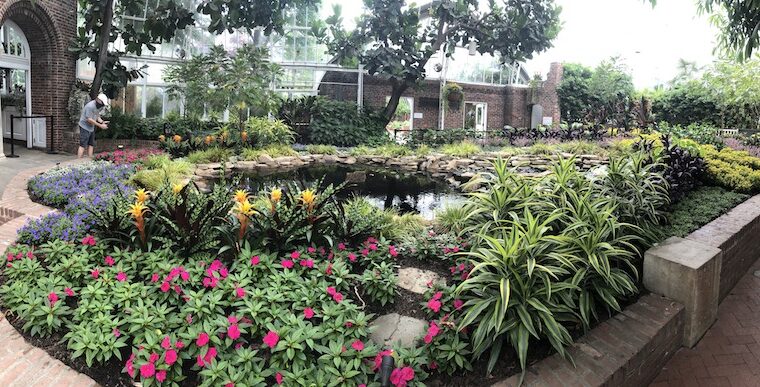 Phipps to reopen as seen on PTL