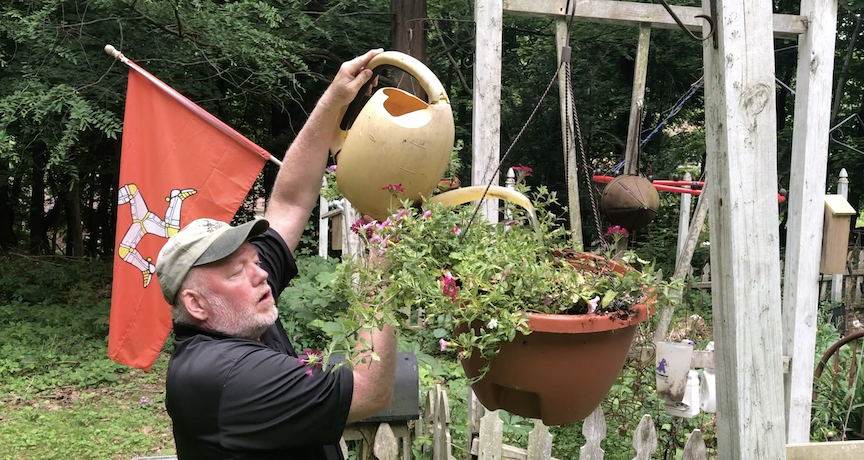 In Doug’s Garden: Bargain hanging basket fun!