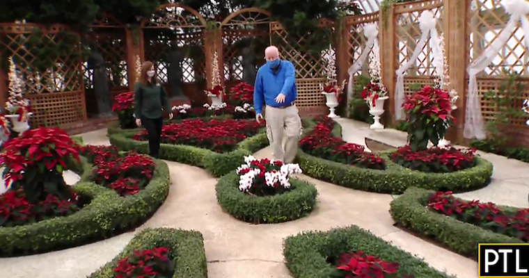 A tour of the Winter Flower Show at Phipps as seen on PTL