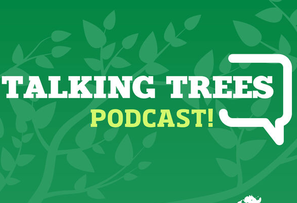 Talking Trees New Podcast alert: Weather Whiplash