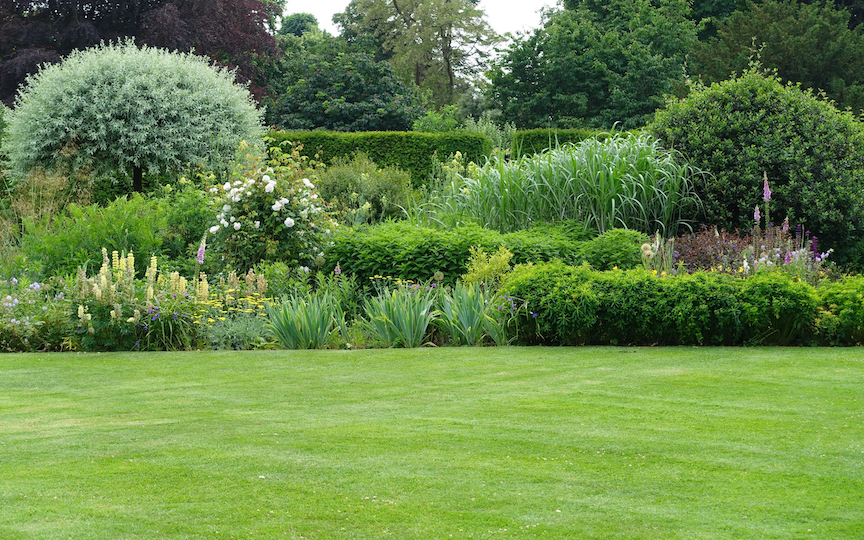 Everything You Need to Know About Growing A Lush, Organic Lawn