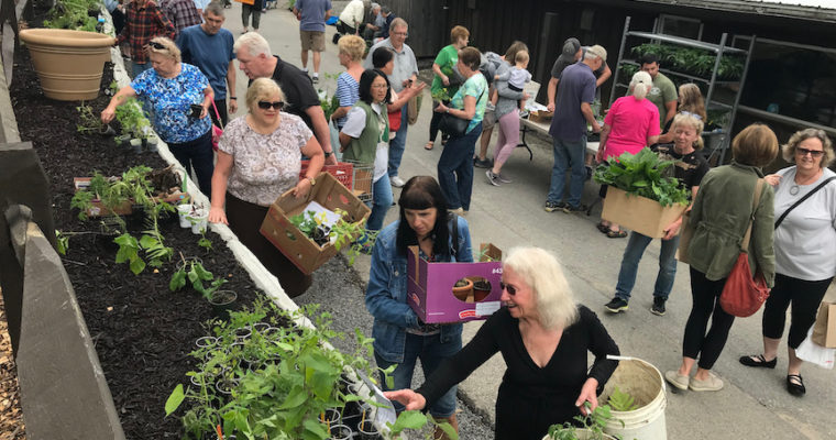18th Annual Doug Oster Plant Swap and Gardening Hullabaloo 5/23/21 at Soergels 11am
