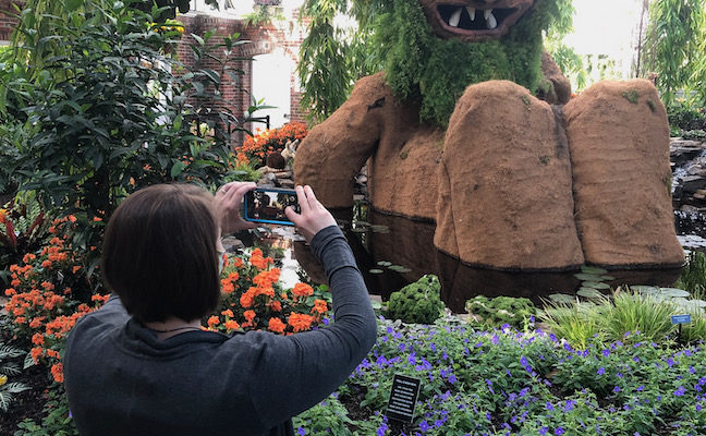 The Hidden Life of Trolls at Phipps from PTL